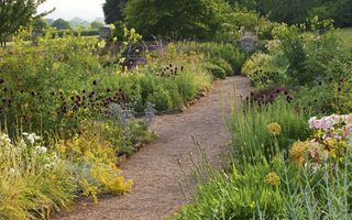 Killerton garden