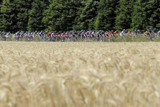 The Tour de France peloton