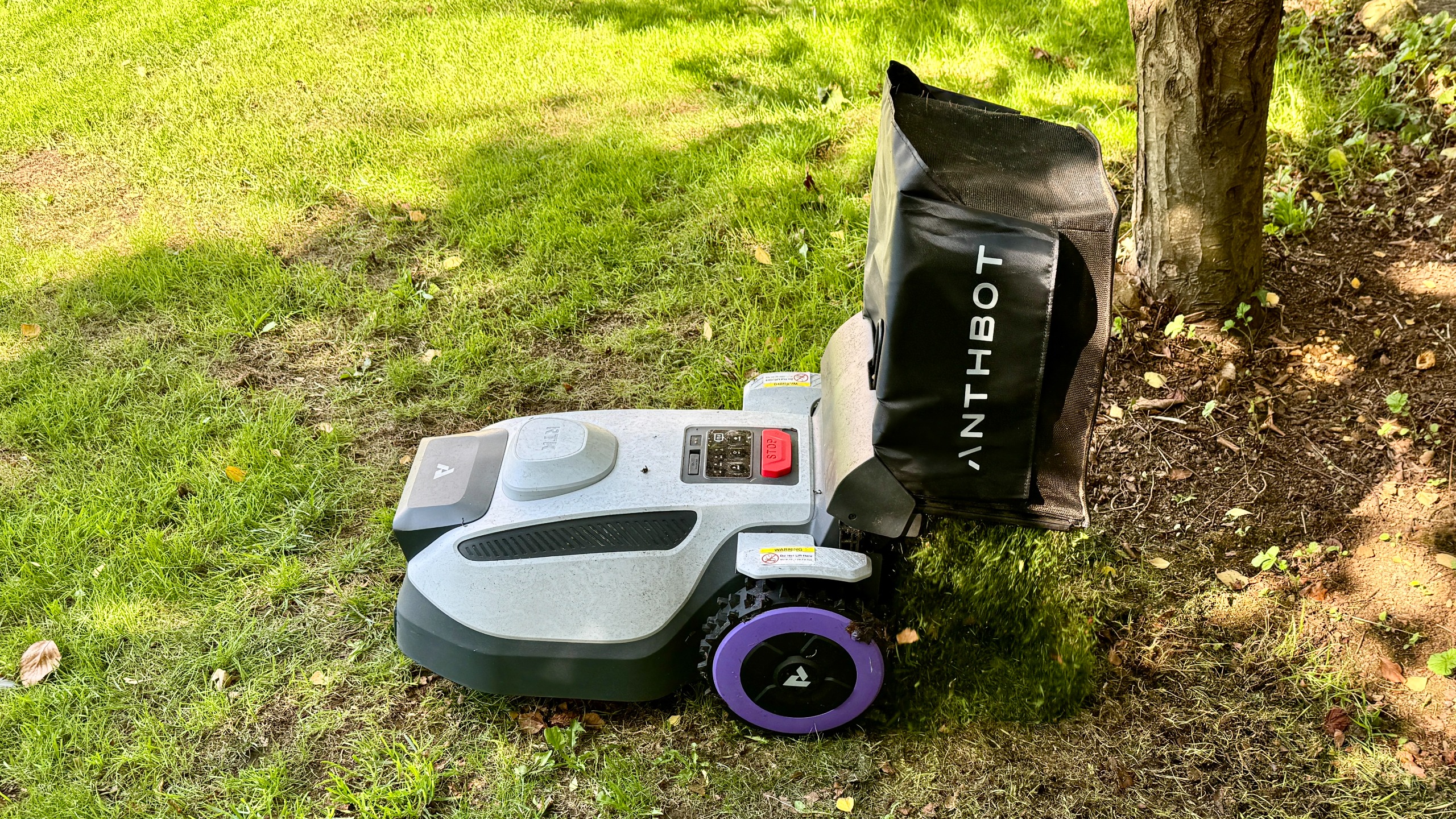 Anthbot N8 dumping grass cuttings