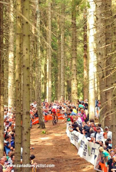 The course features long climbs through the forest