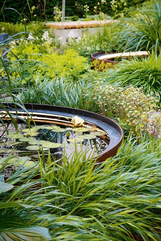 garden pond ideas: lilypads on small circular pond