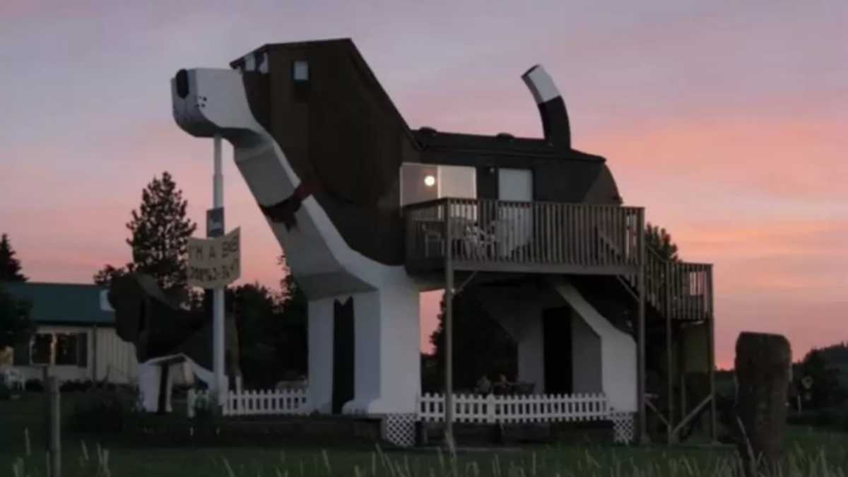 160728-doghouse.png