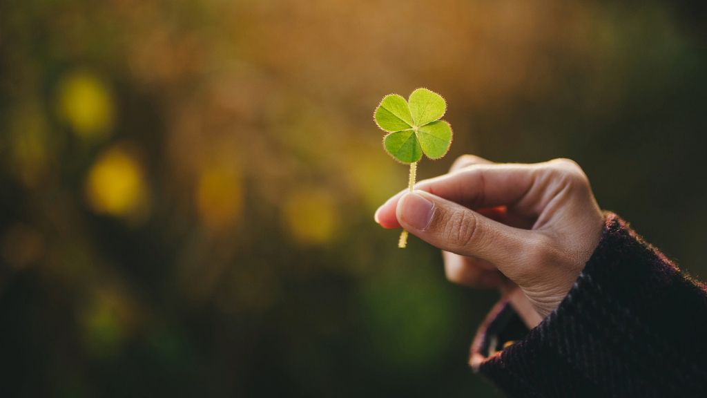 A hand holding a four leaf clover