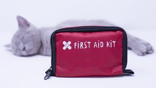 First aid kit for cats