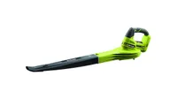 Is this Ryobi tool the best leaf blower?