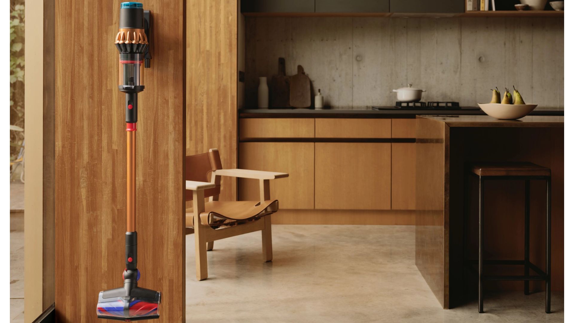 Dyson DS60 Piston Animal Vacuum