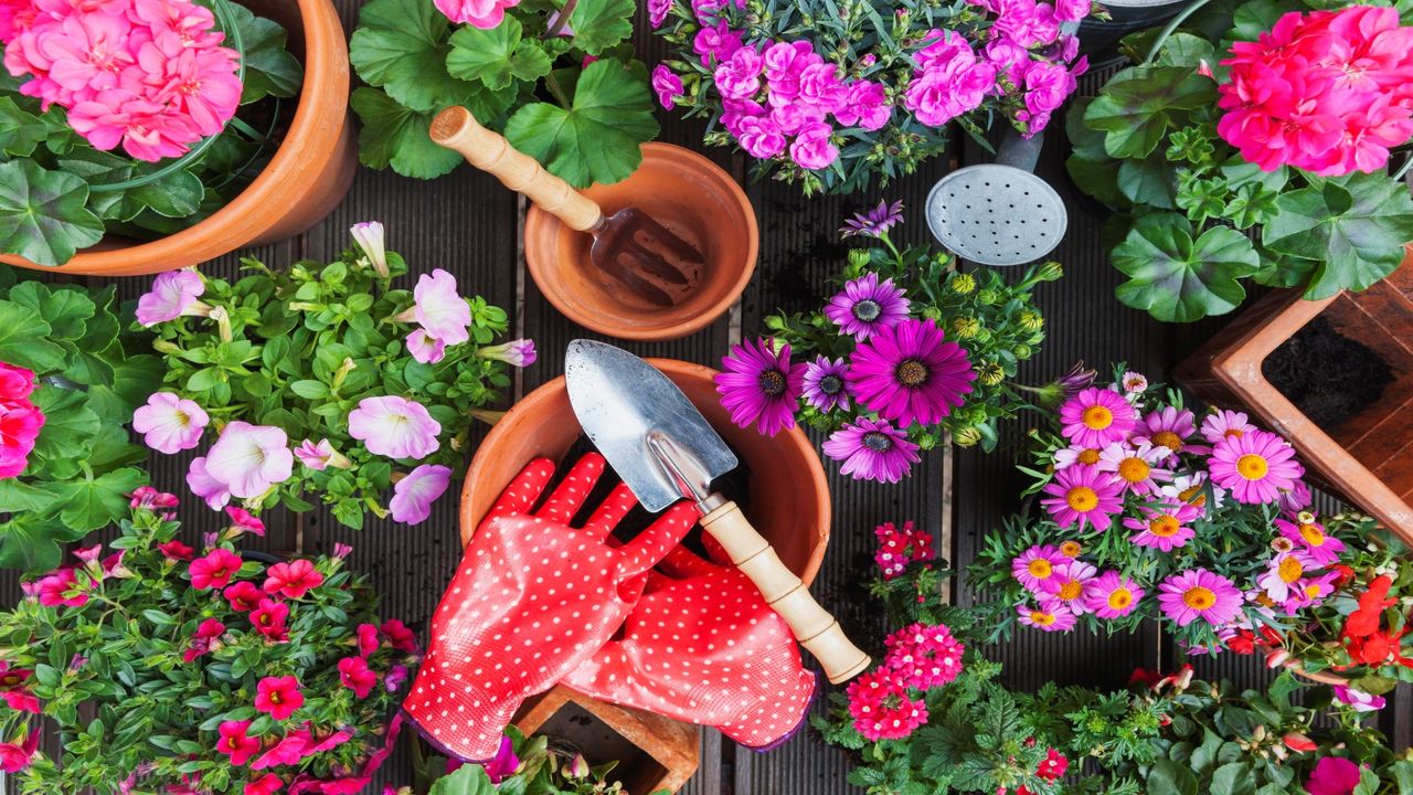 A summer gardening checklist will ensure you don&#039;t forget important jobs