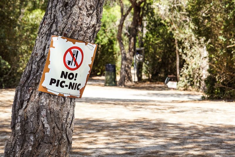 Are Trees Vegetarian? | Live Science