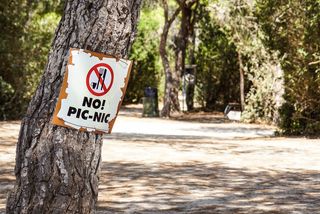 Tree picnic sign