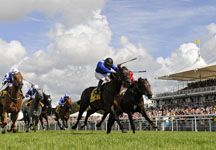 gloriousgoodwood.jpg