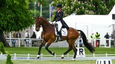 Bubby Upton and Cola at Badminton horse trials dressage