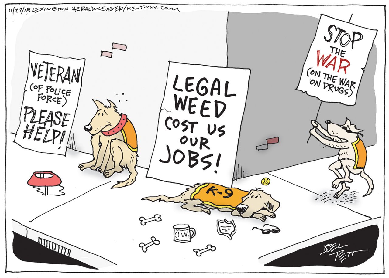 Editorial cartoon U.S. drug sniffing dogs out of work legal weed