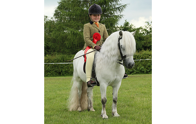 Junior M&amp;amp;M championship Reserve 195 Briar snowman R Grace Litherland
