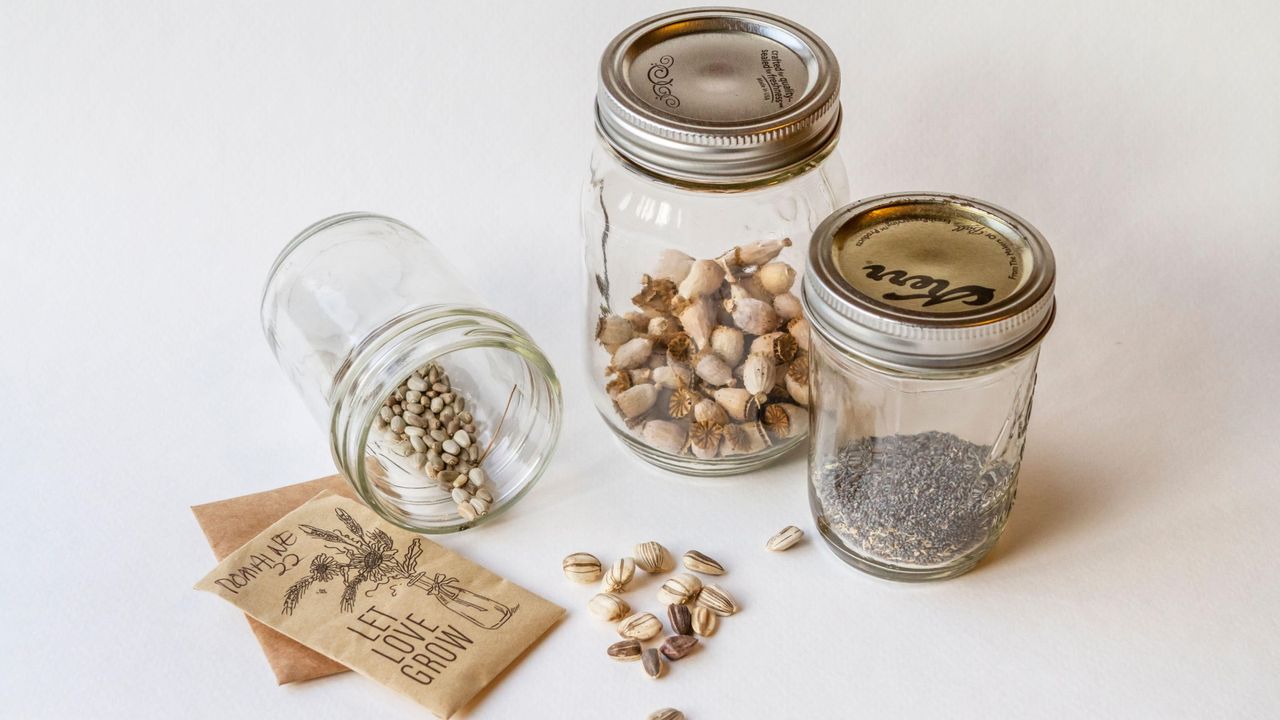 DIY seed storage ideas