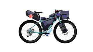 Bikepacking bike with packs