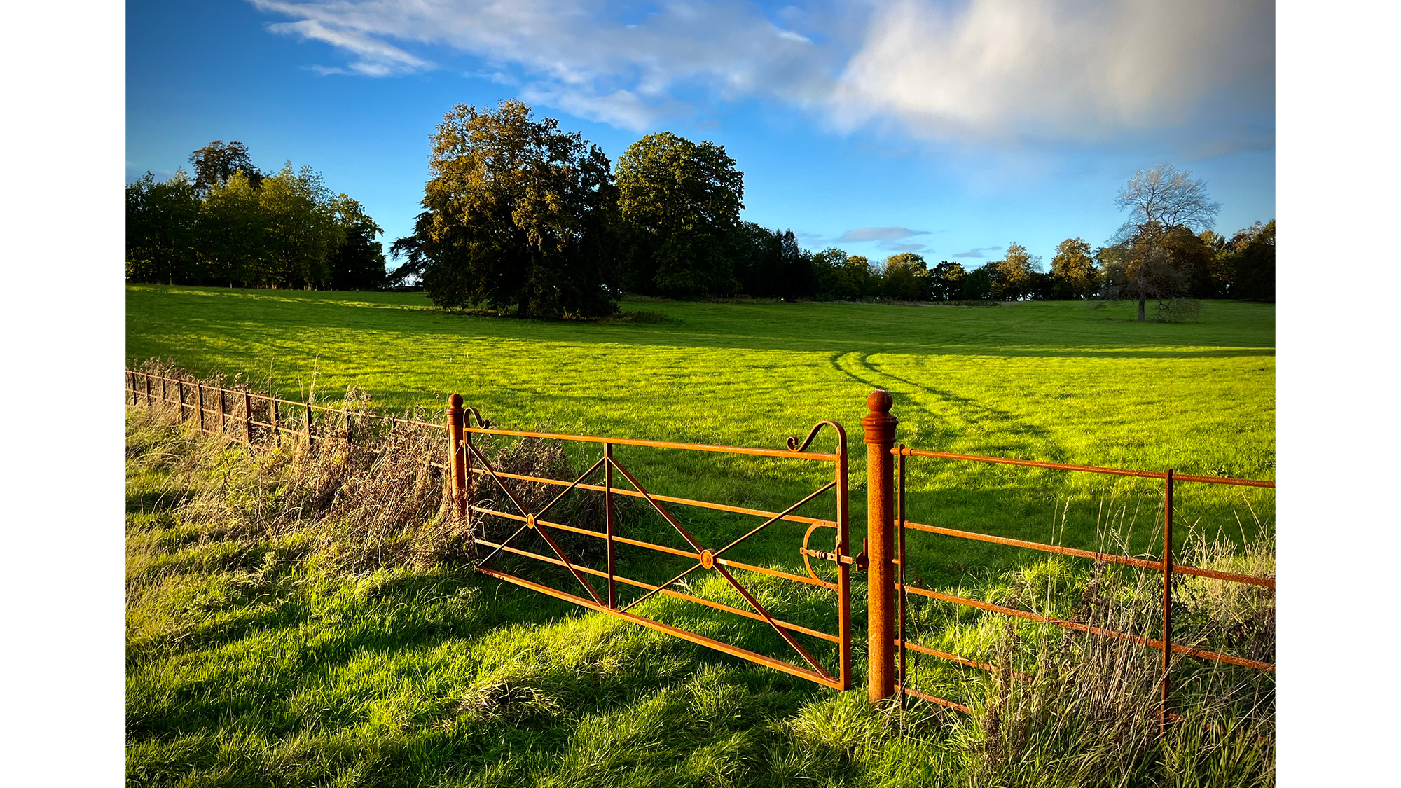 Photo of a field