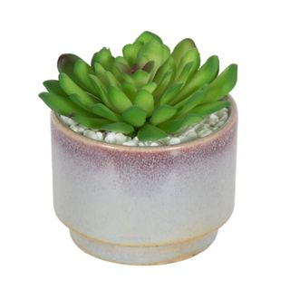 An artificial succulent in a ceramic vase