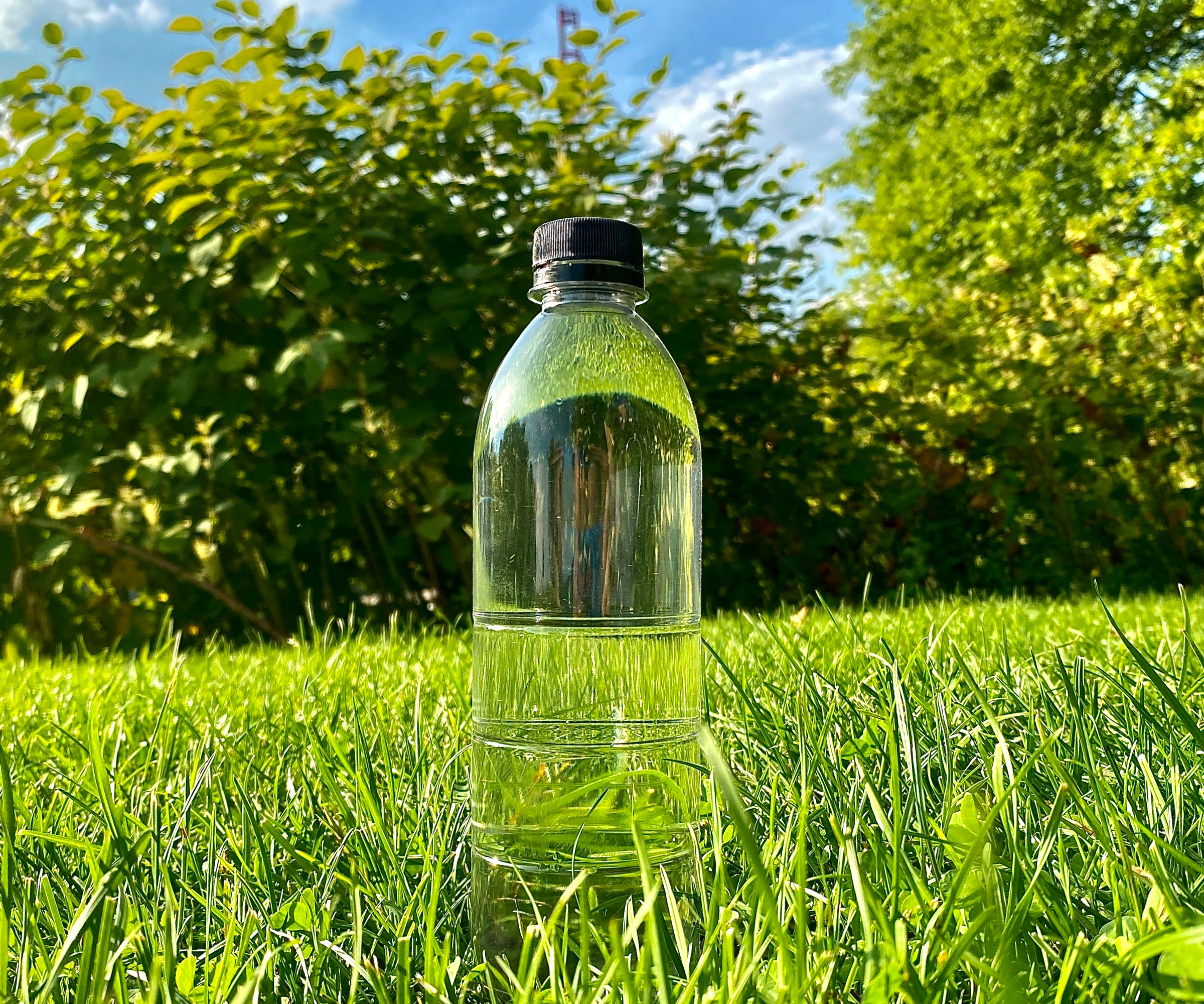plastic bottle of vinegar sitting on green grass on sunny day with blue sky