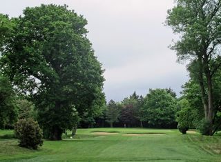 The final short hole is beautifully framed by tall trees