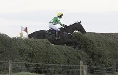Denman-AF9A1620.jpg
