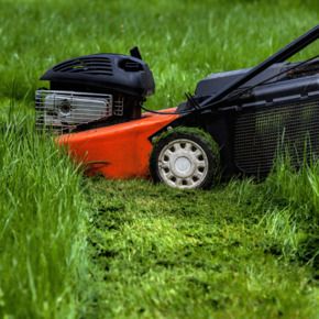The right to not mow your lawn