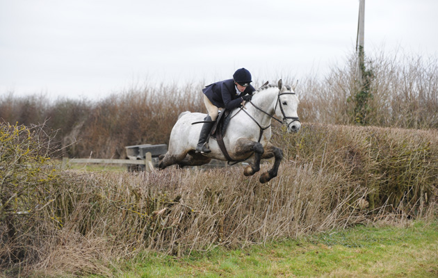Old Berks Hunt 07.02.15