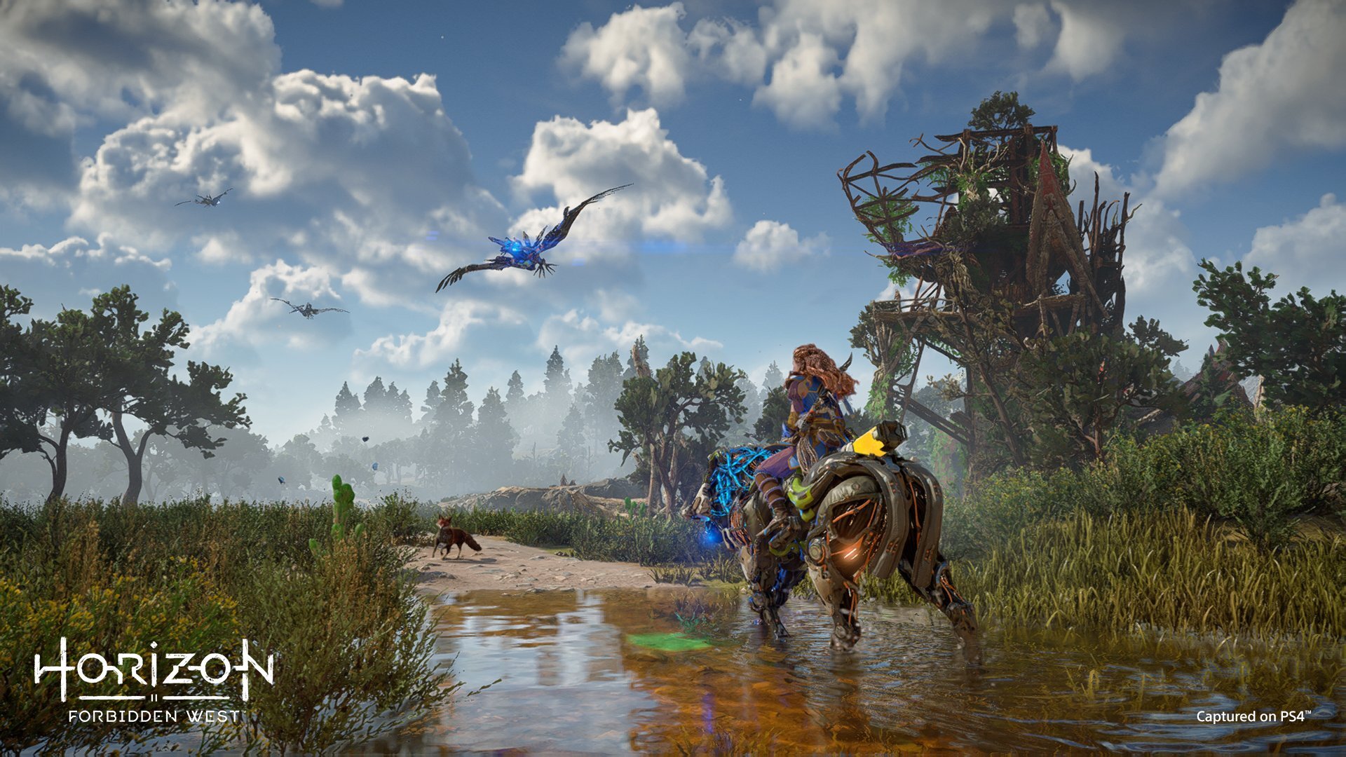 Guerrilla Shares Images Of Horizon Forbidden West Running On PlayStation 4  - Game Informer