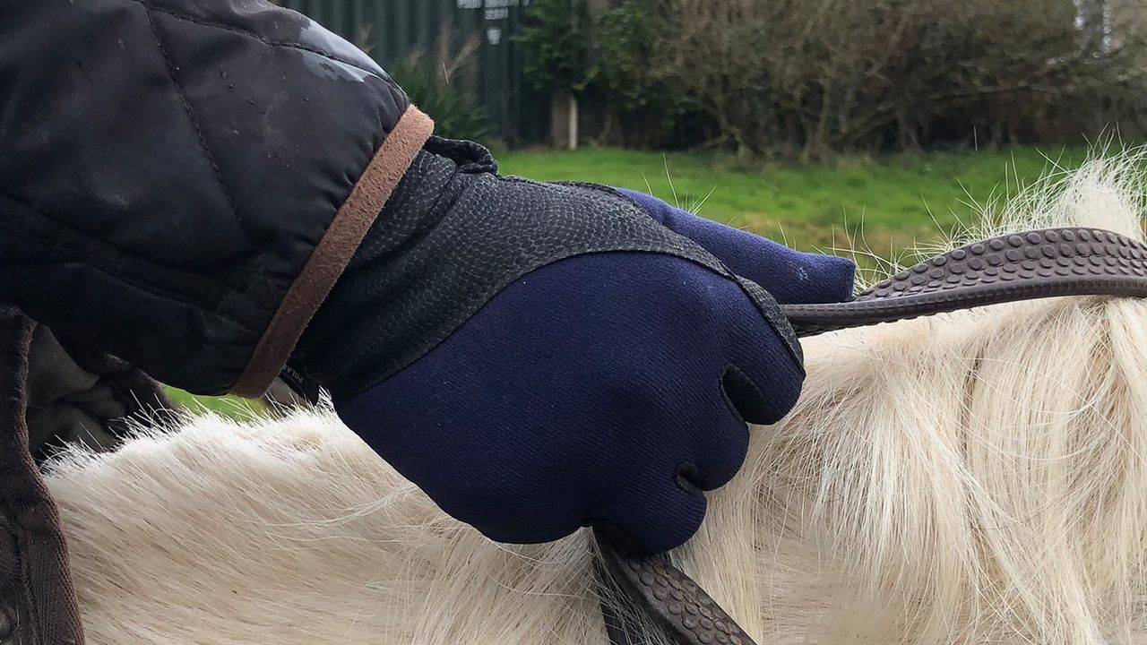 Woof Wear Precision thermal gloves