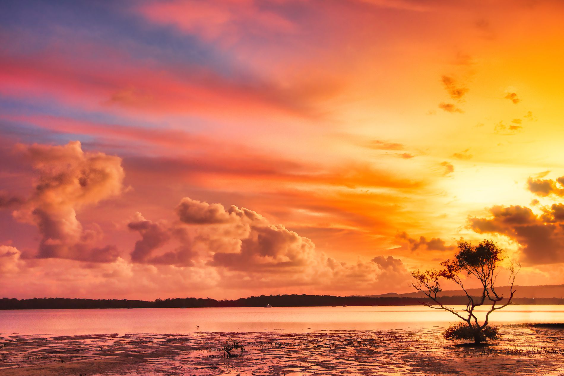 GuruShots - Vivid Landscapes March 2026