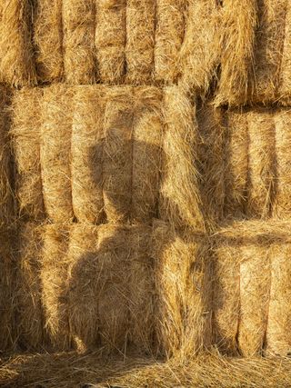 Veuve Clicquot Magnum Photo Emotions of the Sun: shadow on stack of straw bales
