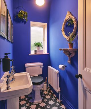 blue downstairs cloakroom