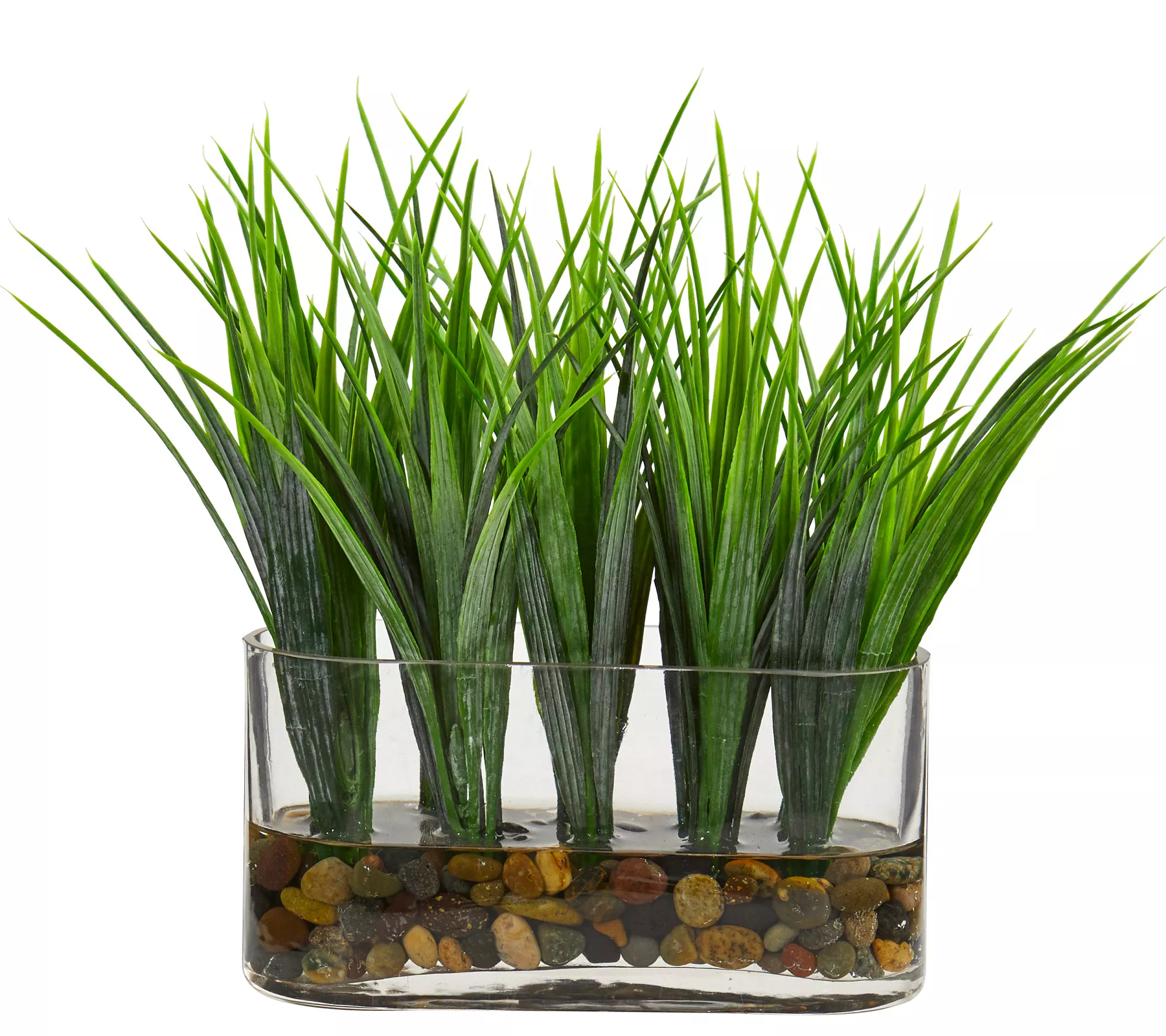 Vanilla Grass Artificial Plant in Vase by Nearly Natural