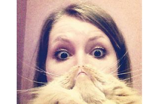 Cat beards