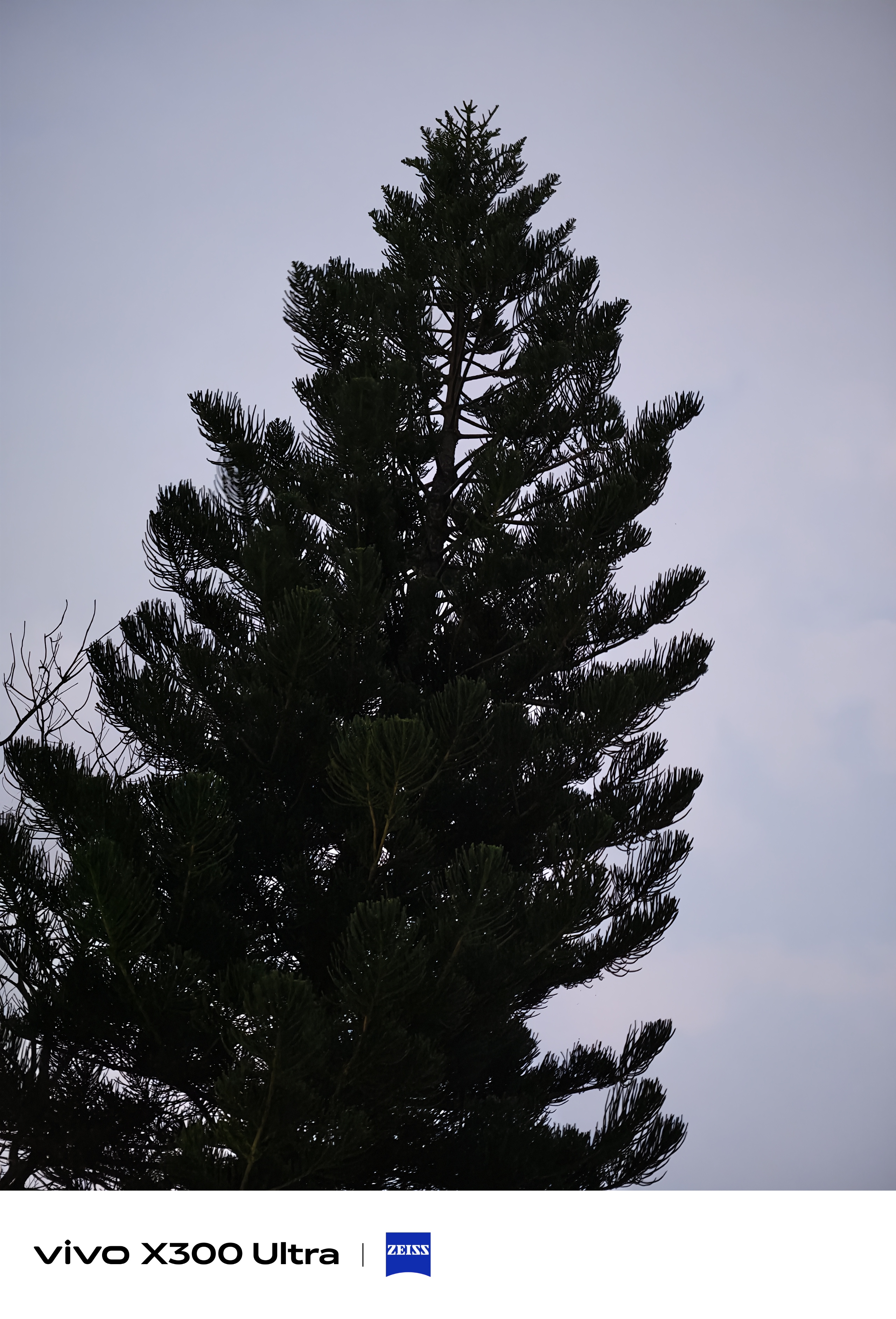 Vivo X300 Ultra camera testing in Hyderabad