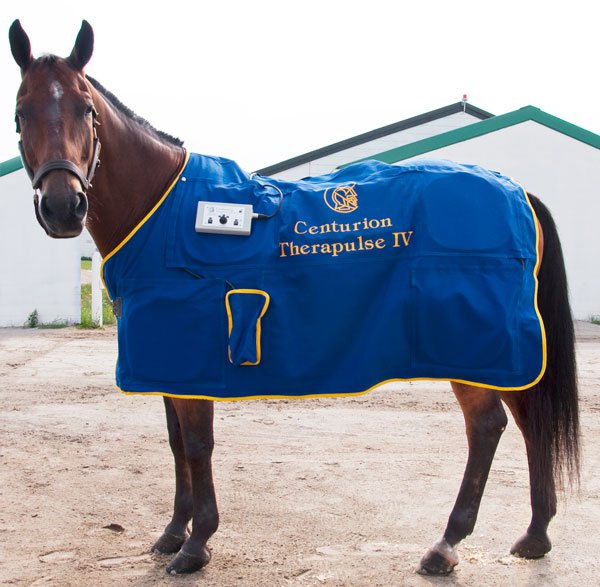 Centurion magnetic rug
