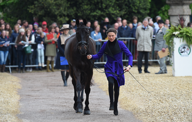 The Mitsubishi Motors Badminton Horse Trials on 08 05 2016