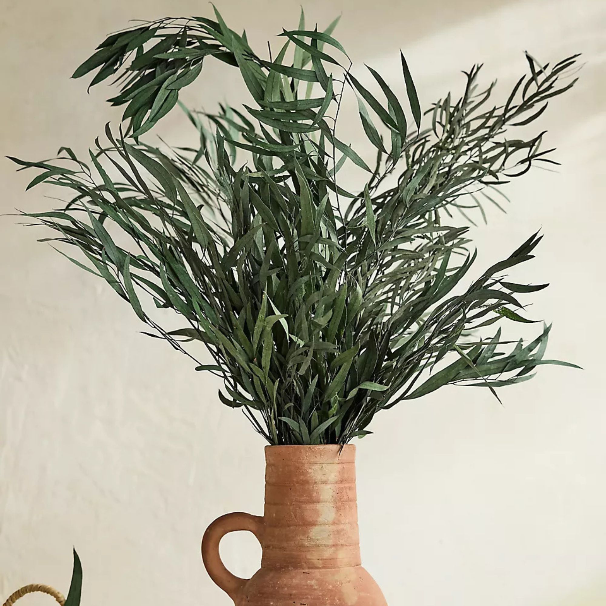 Preserved Eucalyptus Nicoly Bunch