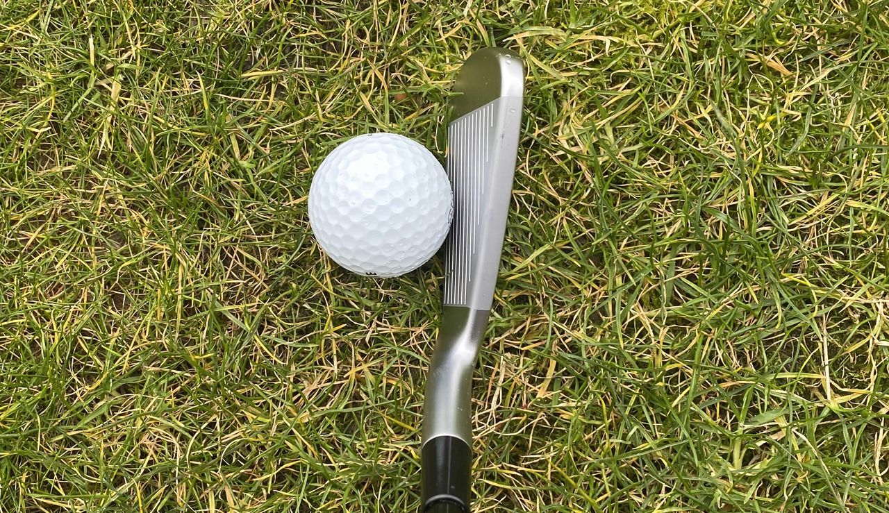 TaylorMade P790 UDI 2021 Utility Iron