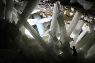 A researcher in a hard hat is dwarfed by telephone-pole-sized crystals deep in Mexico's Cavern of Crystals.