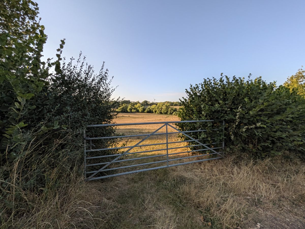 Metal farm gate between hedgerows overlooking dry fields and trees in the countryside at sunset.