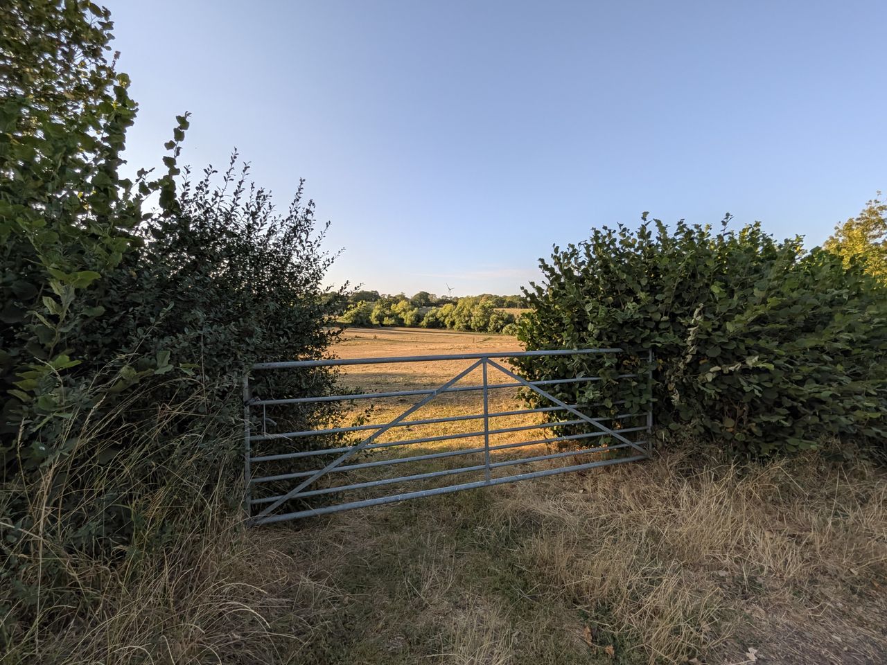 Metal farm gate between hedgerows overlooking dry fields and trees in the countryside at sunset.
