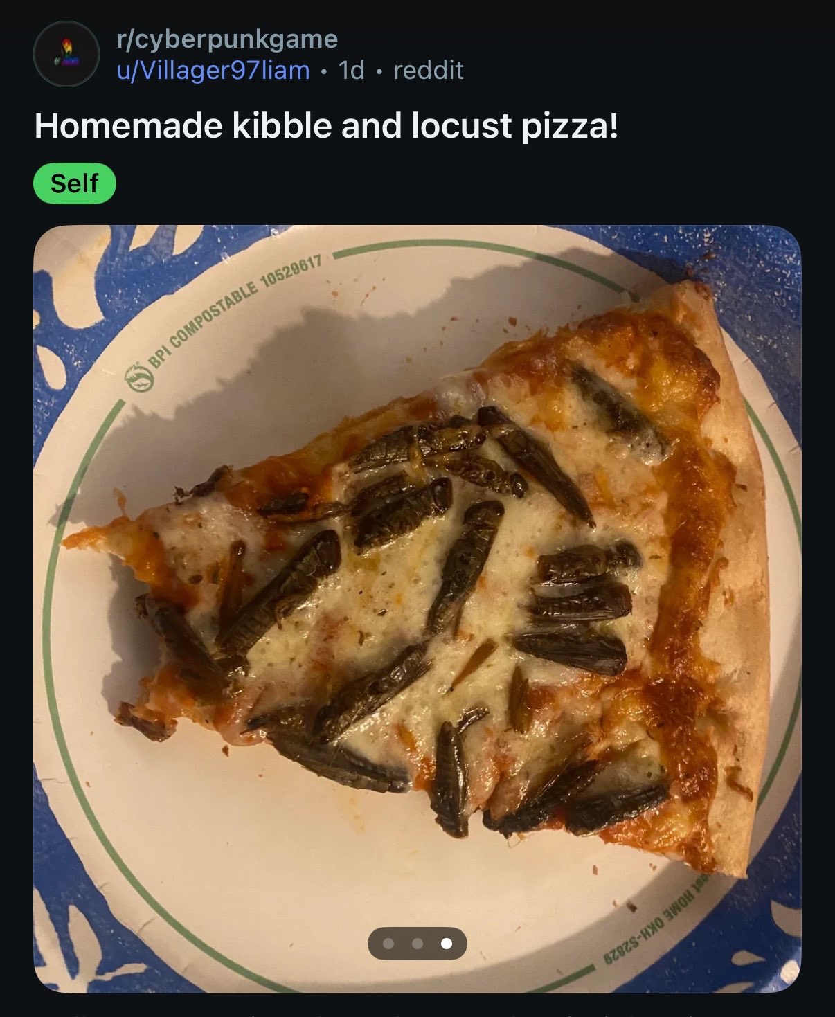 Post on the cyberpunkgame subreddit showing off "Homemade kibble and locust pizza"