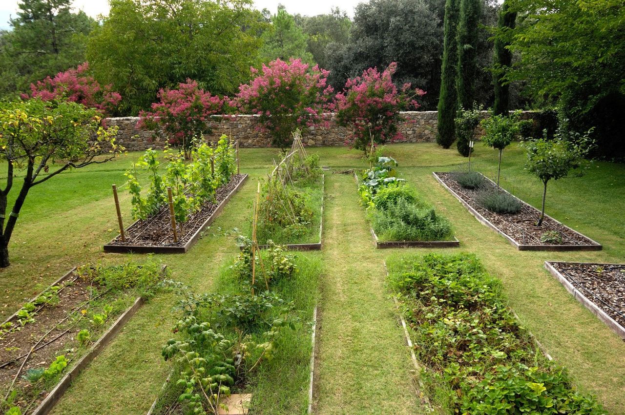 Several Vegetable Gardens