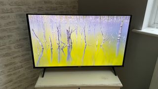 Hisense 43A6KTUK 43-inch TV. ON the screen is a photo of trees emerging from water.