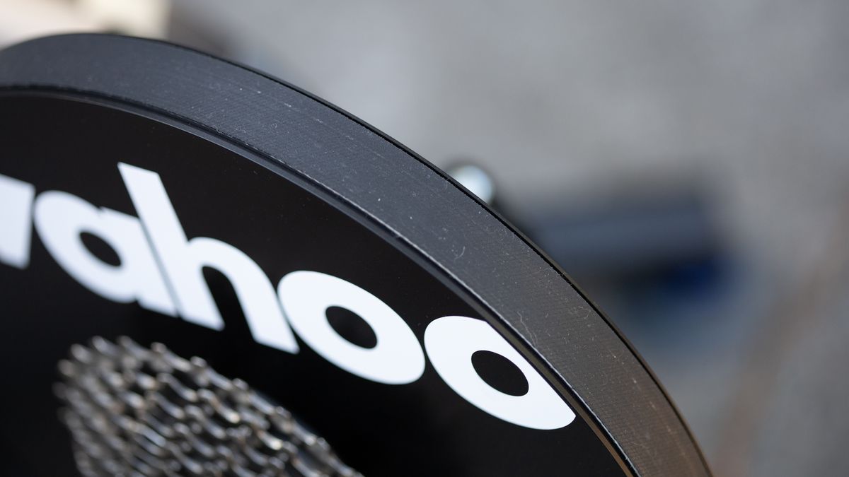 Wahoo Kickr belt