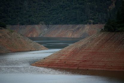 California's drought severely impacted the environment.