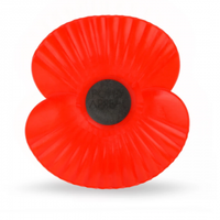 Plastic Car Poppy - £5.49This plastic car poppy is sized 12 x 11cm and can be fixed to your car with tie wraps (included). And of course, 100% of the profits from this car poppy will be donated to the Royal British Legion.
