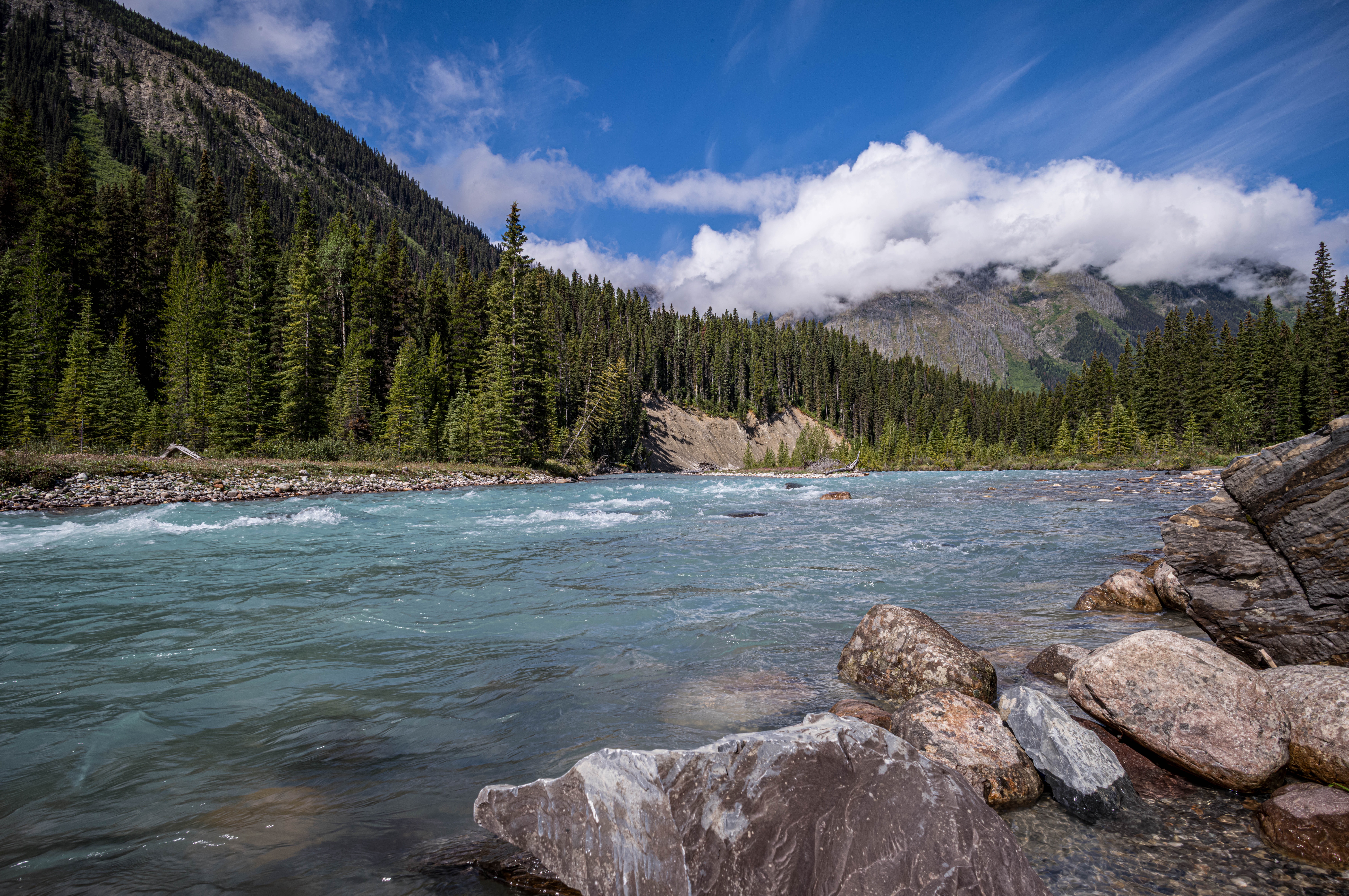 GuruShots - Nature&rsquo;s Masterpiece 2026