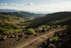 Lalibela, Ethiopia. An area where trees have been planted.