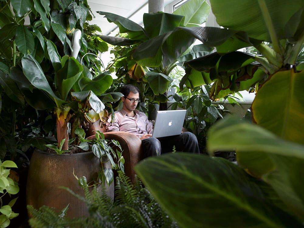 20 cool office designs